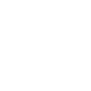 website-security-icon-white